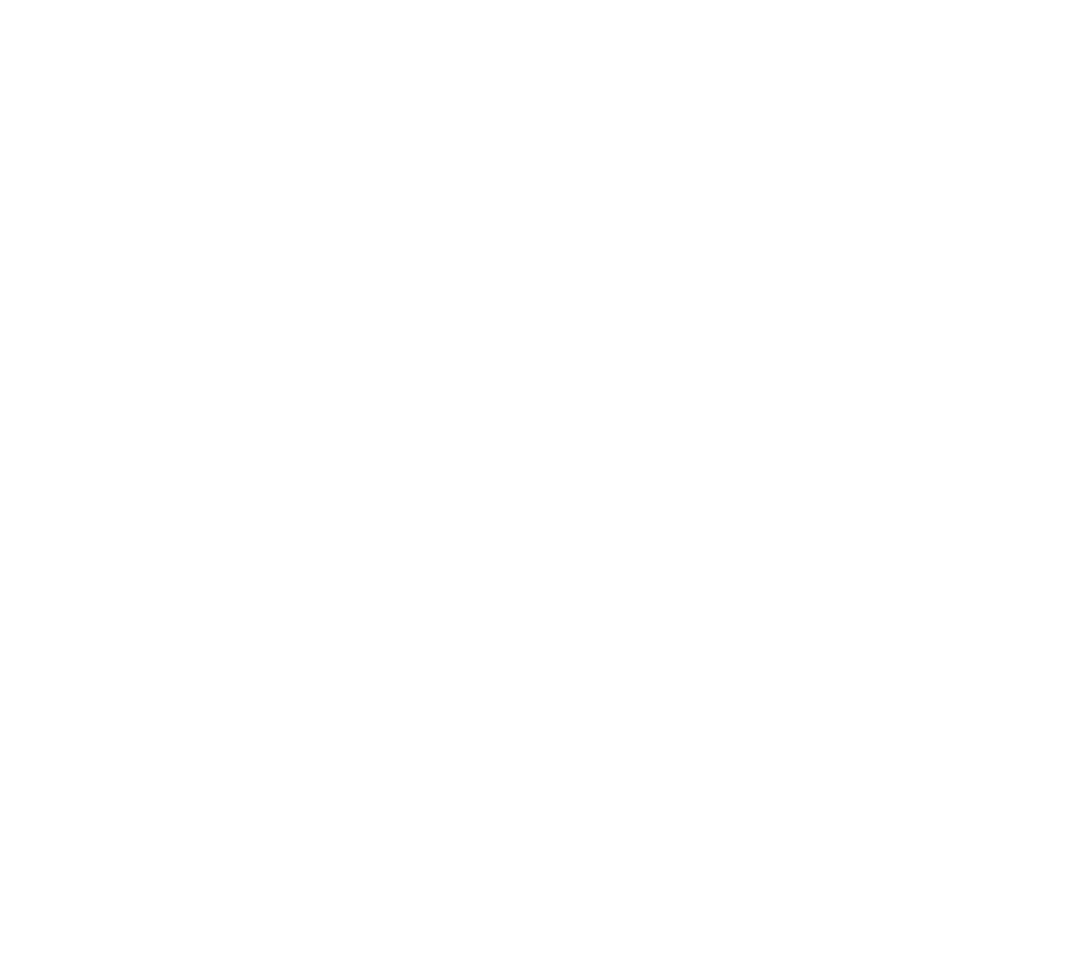 logo-raiz- (1)